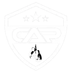 CAP Boxing Transparent Logo CAP Boxing Transparent Logo